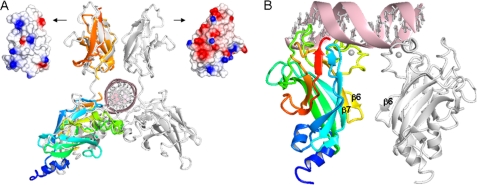 FIGURE 3.