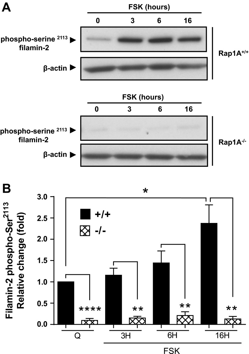 Fig. 9.