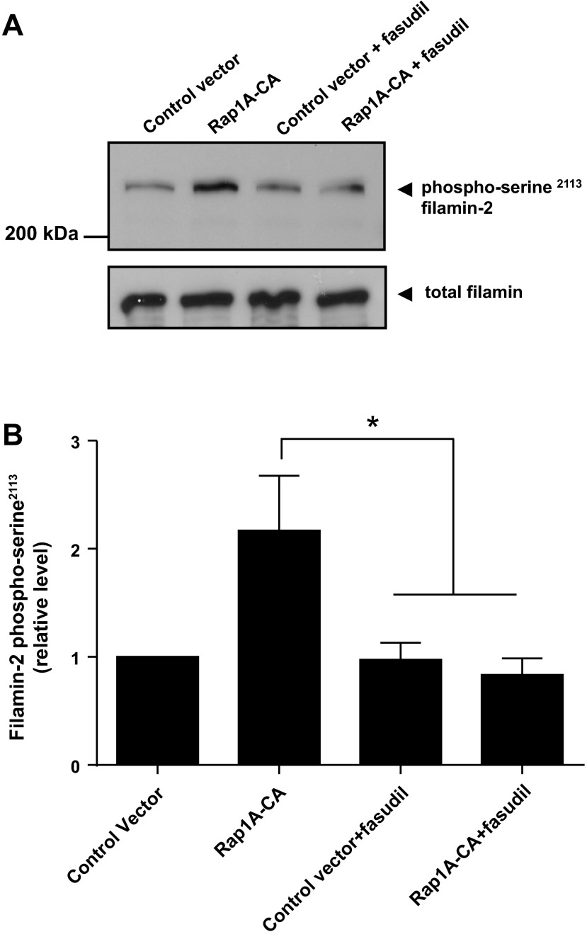 Fig. 8.