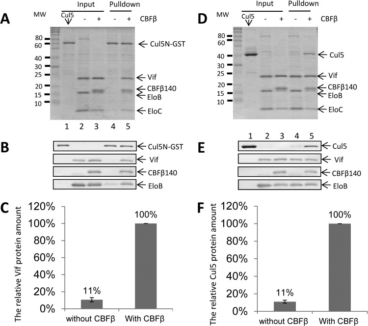 FIG 3