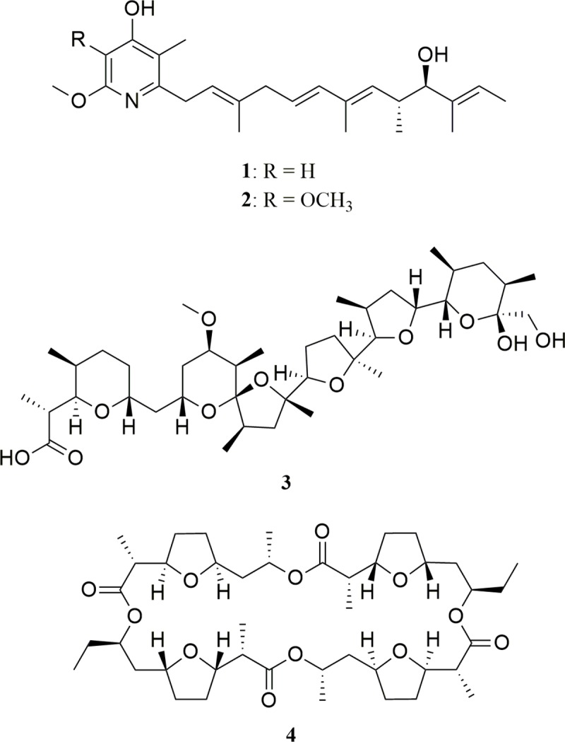 Fig 1