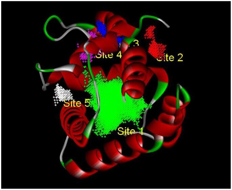 Figure 2