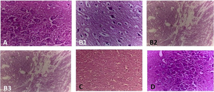 Fig. 4