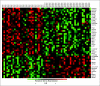 Fig 2.