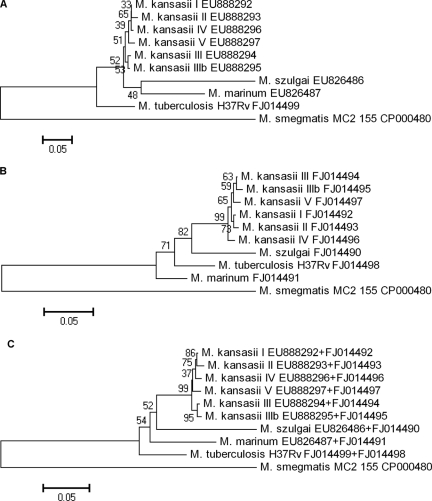 FIG. 1.