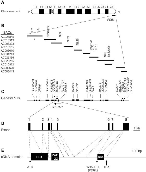 Figure  2