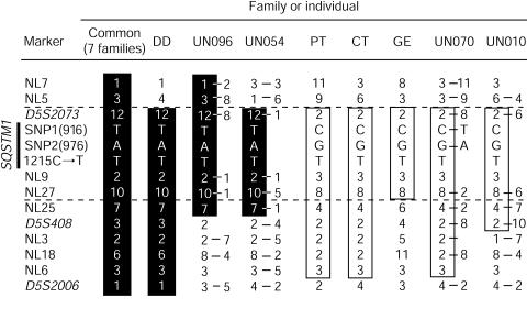 Figure  1