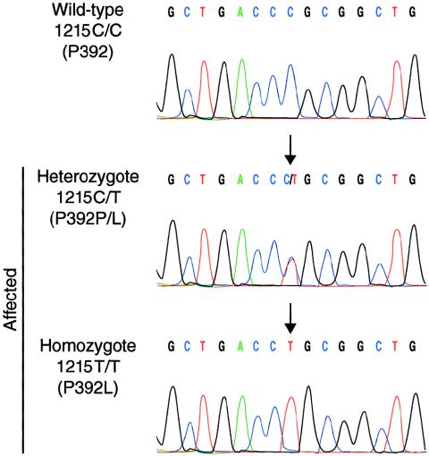 Figure  3