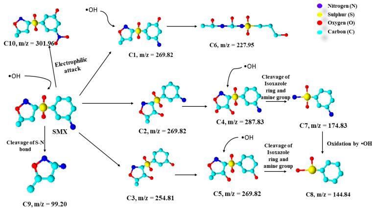 Figure 10