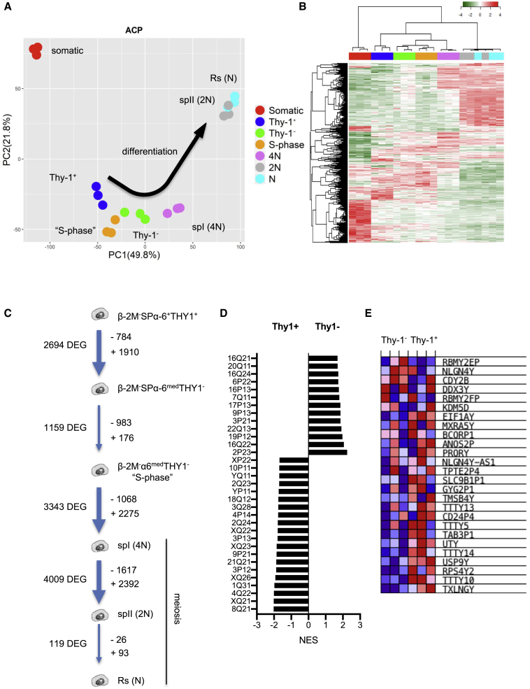 Figure 3