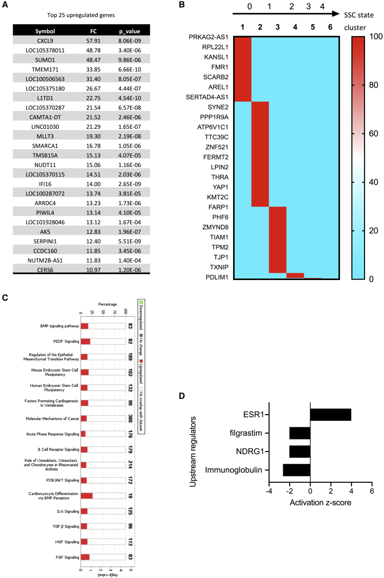 Figure 4