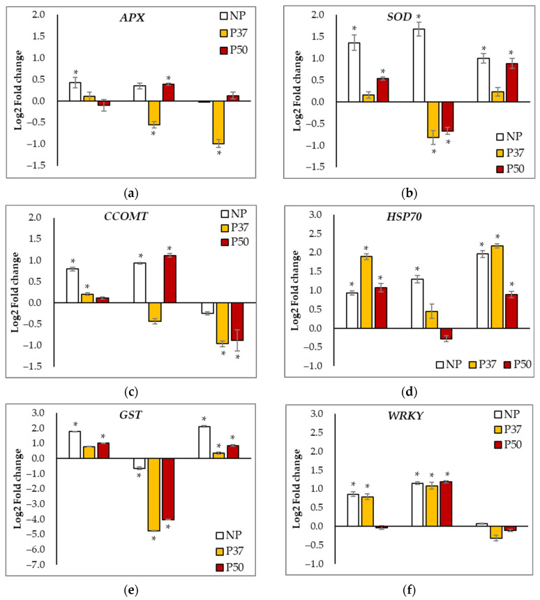 Figure 7