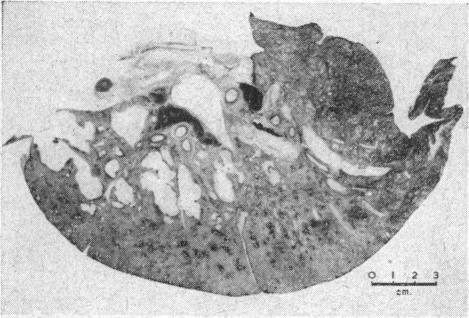 p1328-a