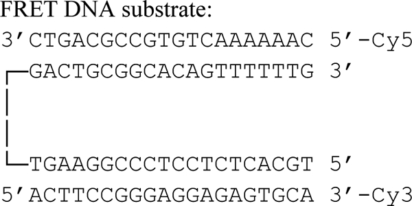 SEQUENCE 1.