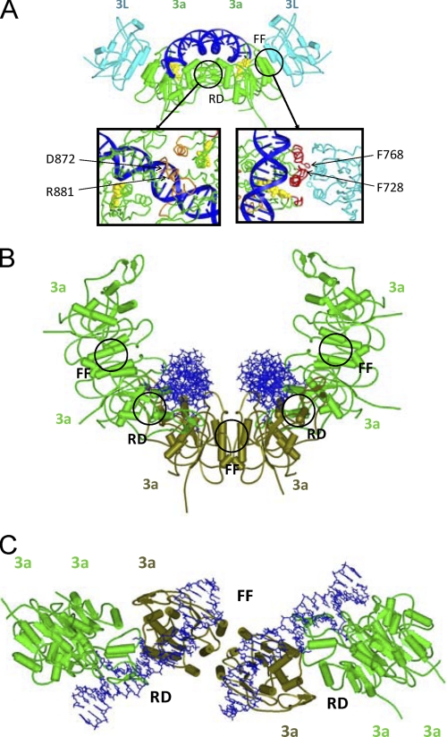 FIGURE 1.