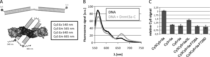 FIGURE 3.