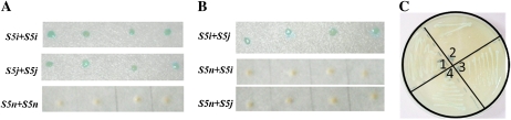 Figure 5.