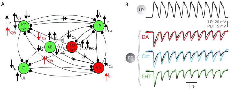 Figure 5