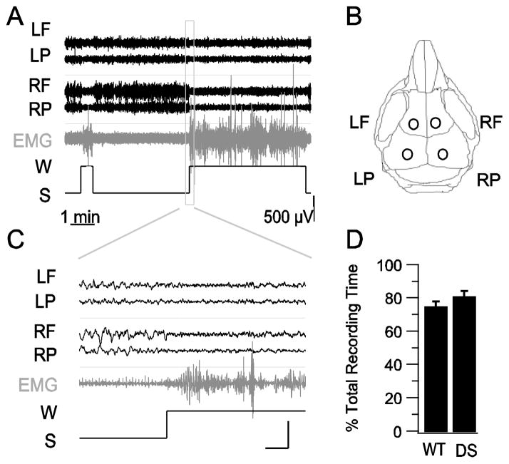 Fig. 1