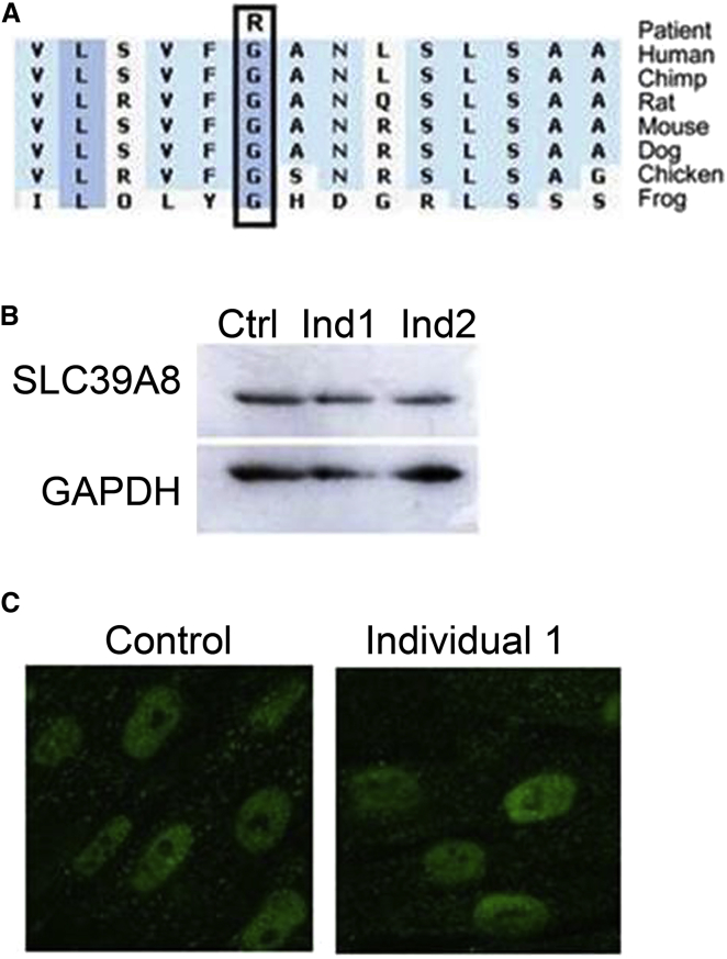 Figure 2