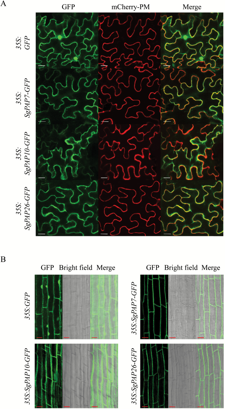 Fig. 4.