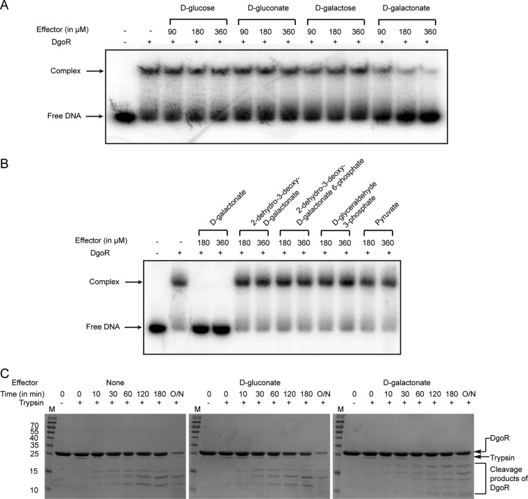 FIG 8