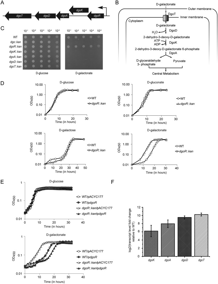 FIG 1