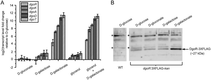 FIG 2