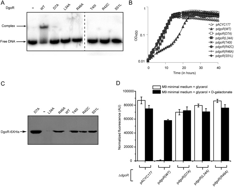FIG 6