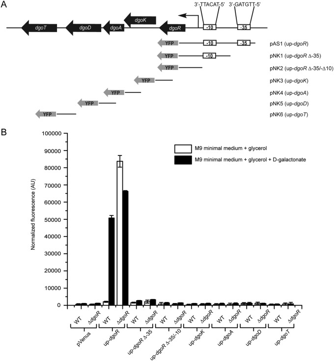 FIG 3