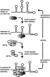 FIG. 8