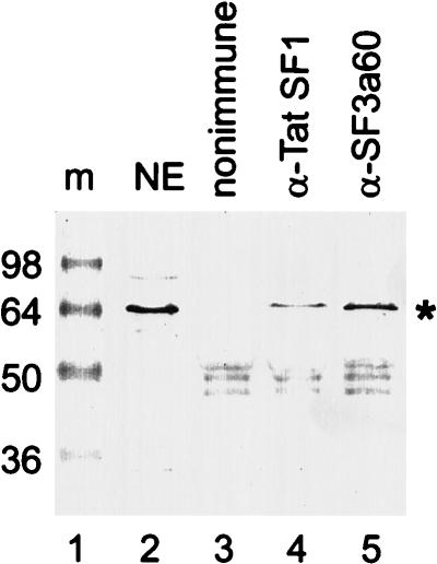 FIG. 6