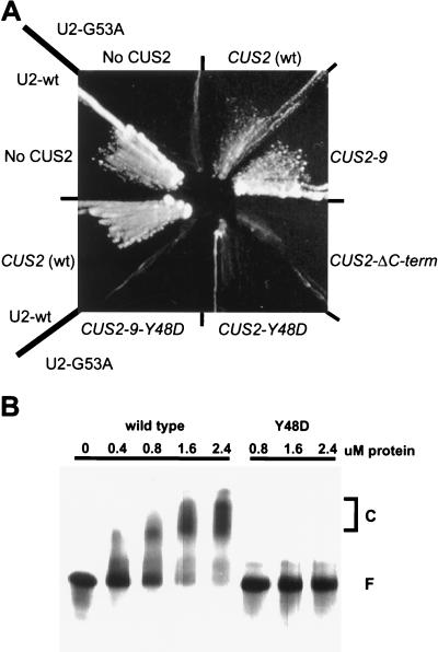 FIG. 7