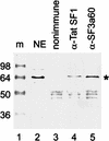 FIG. 6