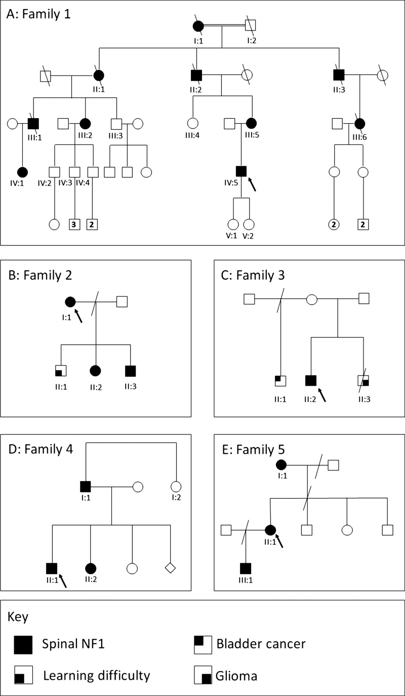 Figure 1