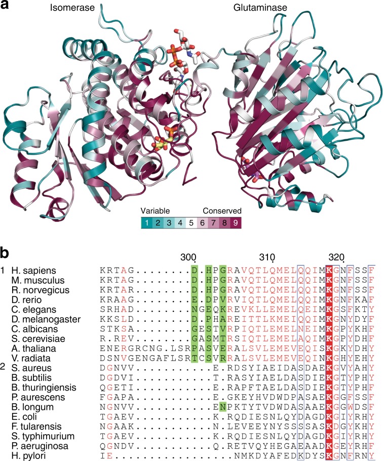Fig. 6