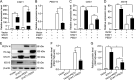 FIG 3