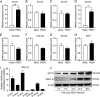 FIG 2