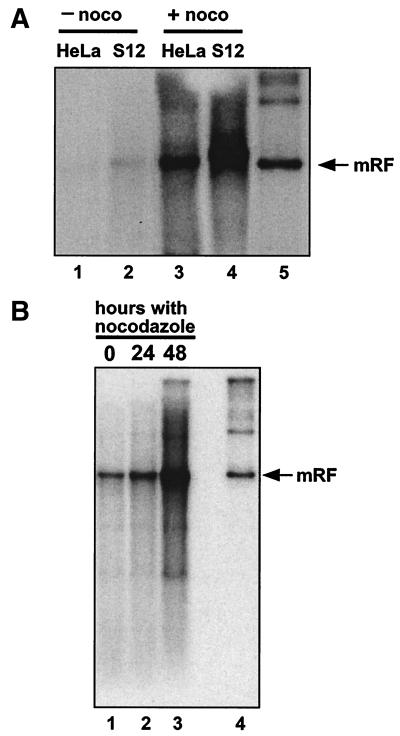 FIG. 5