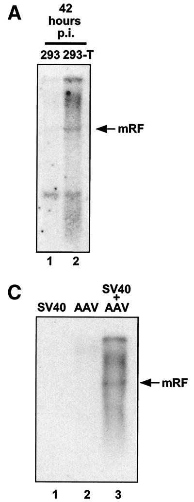 FIG. 7