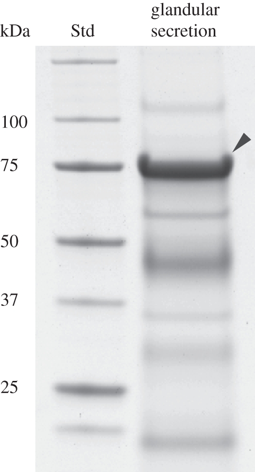 Figure 2.