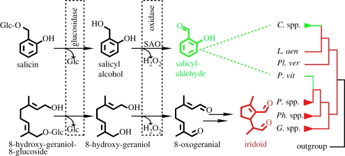 Figure 1.