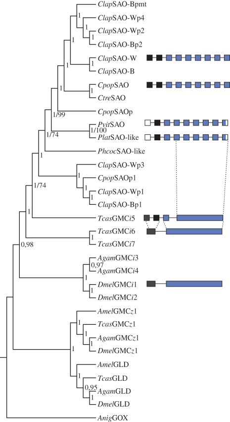 Figure 6.