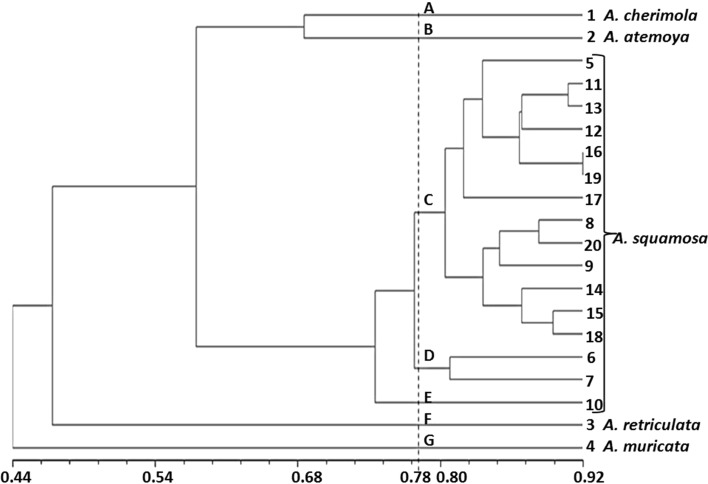 Fig. 3