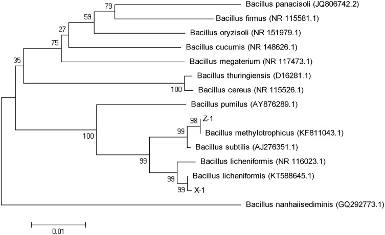 Fig. 2