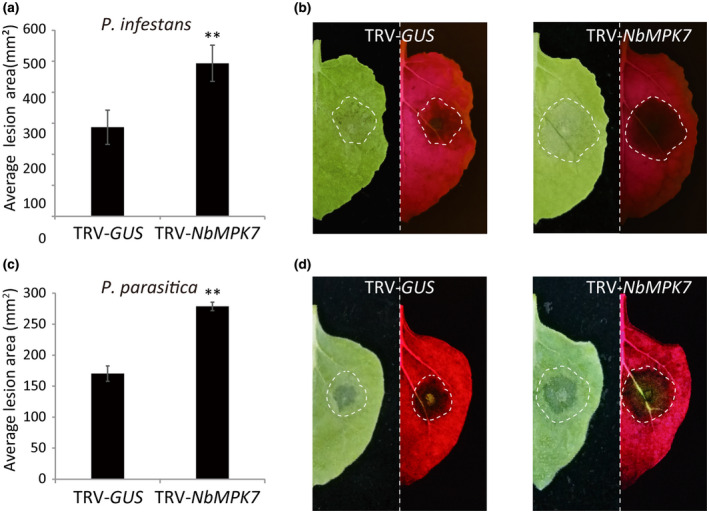 FIGURE 3