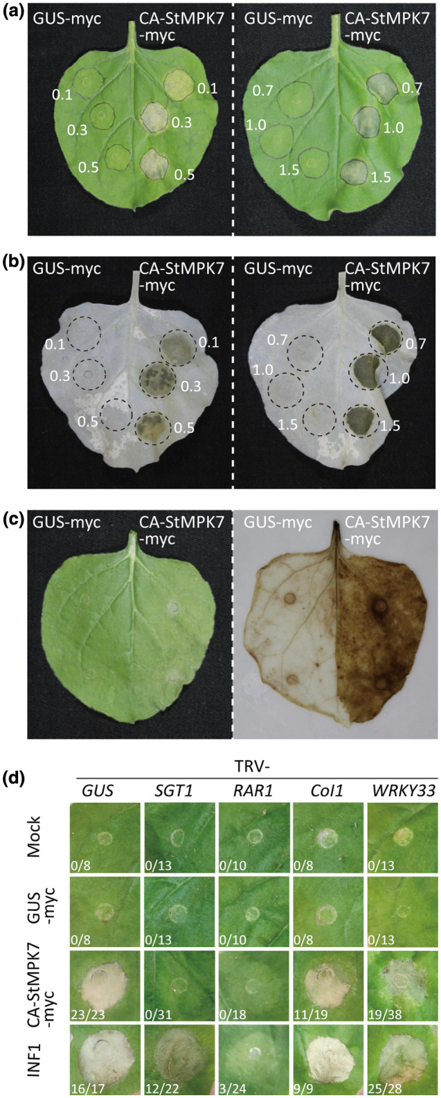 FIGURE 6