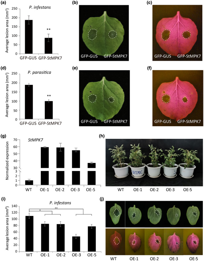 FIGURE 2