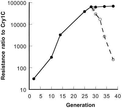 FIG. 1