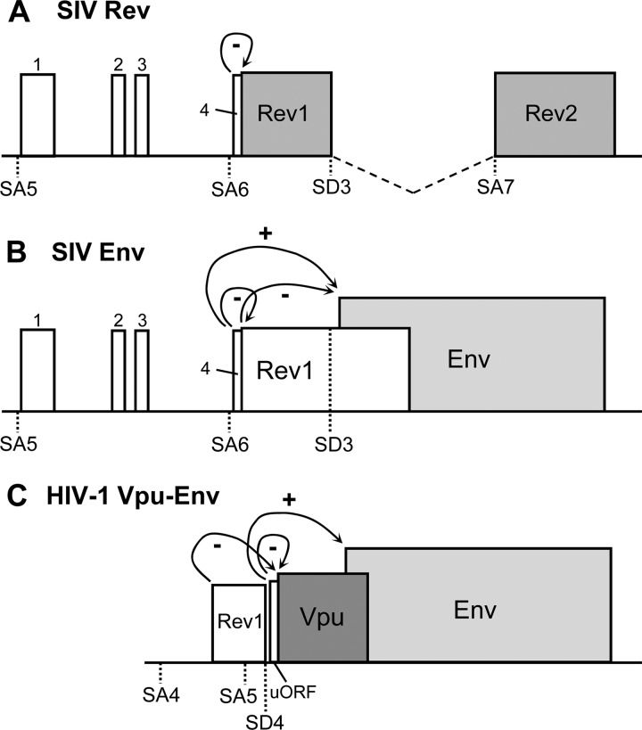 Fig 8